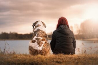 The Right Smart Air Purifier: A Pet Owner's Complete Guide